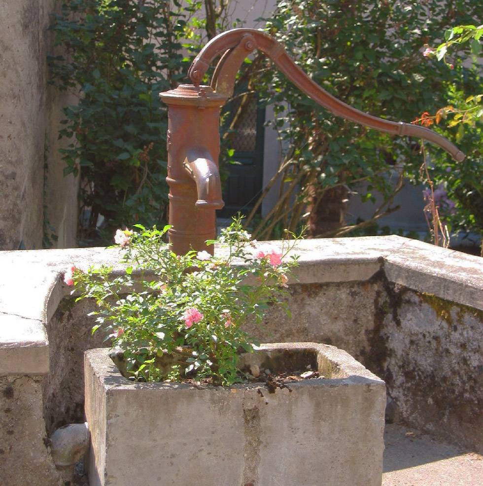 Pompe à bras et fleurs Pompe à bras et fleurs